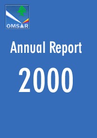 Annual report 2000